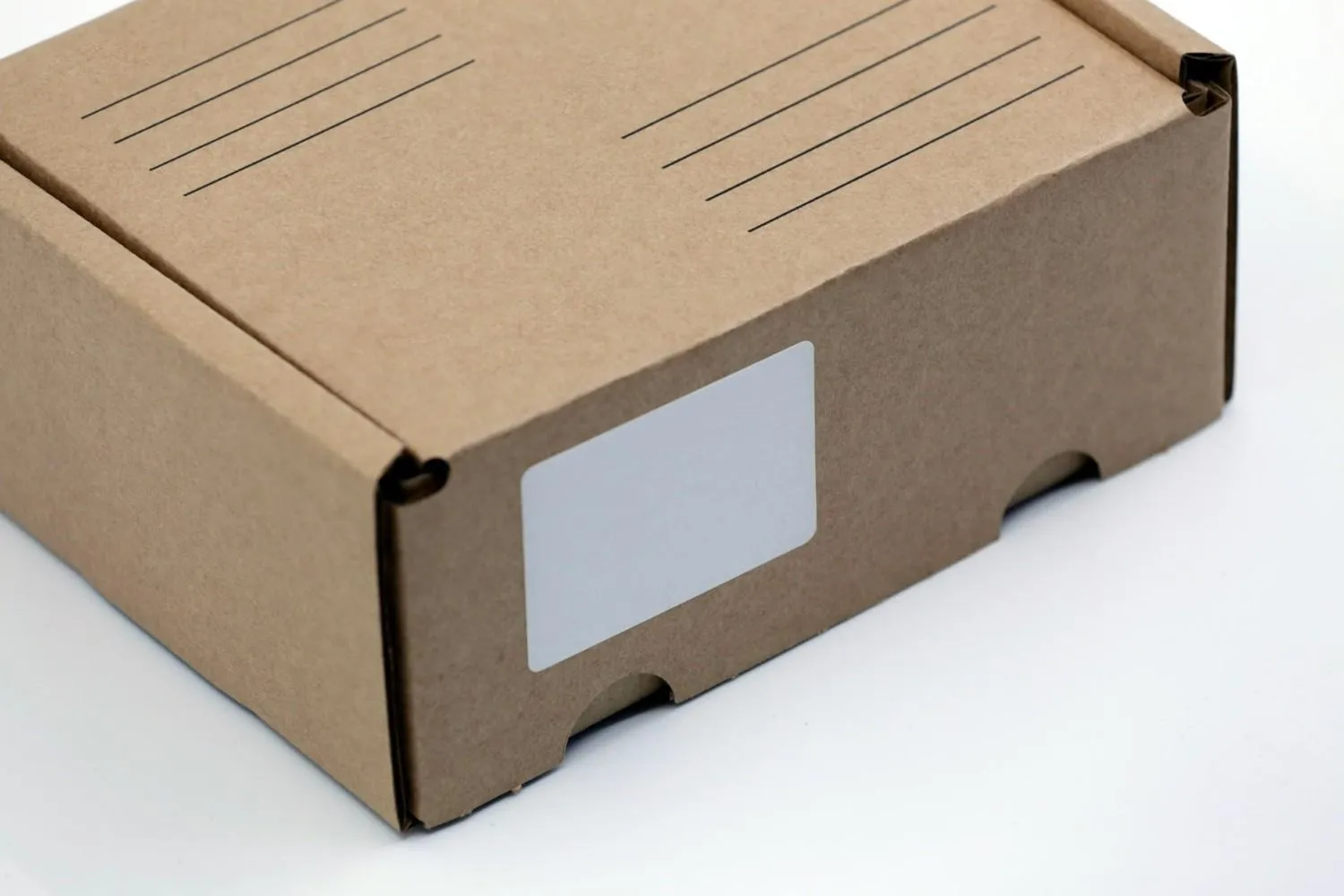 Plain kraft cardboard mailer box with a blank white label